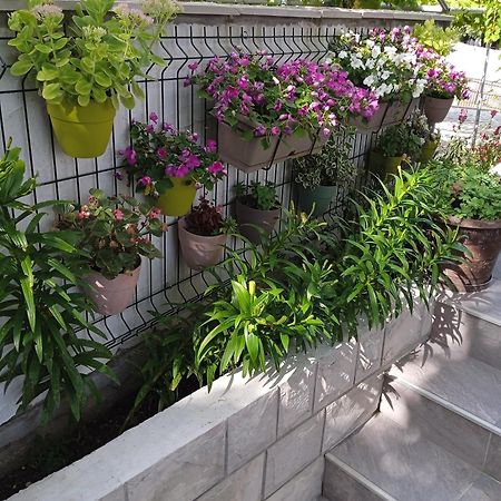 Apartment Iva Trebinje Ngoại thất bức ảnh
